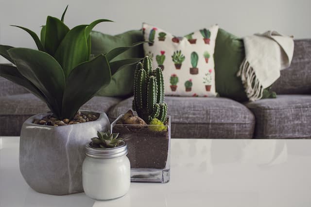 Elegance, Comfort, and Luxury- All in One Furniture Spot!