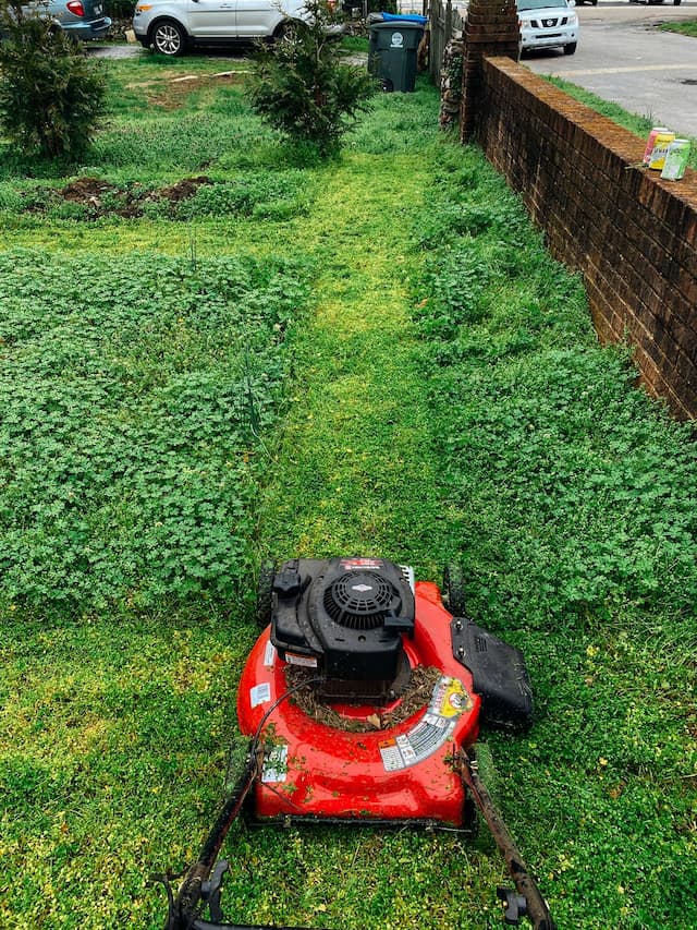 Where to find lawnmowers for sale in Singapore?