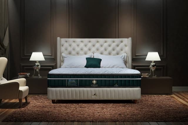 Introducing 3 in 1 Beds in Singapore by Getha