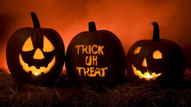Crate and Barrel to Make Your Halloween Singapore Delightful & Frightful