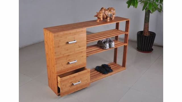 Top Shoe Cabinet Designs to Look for